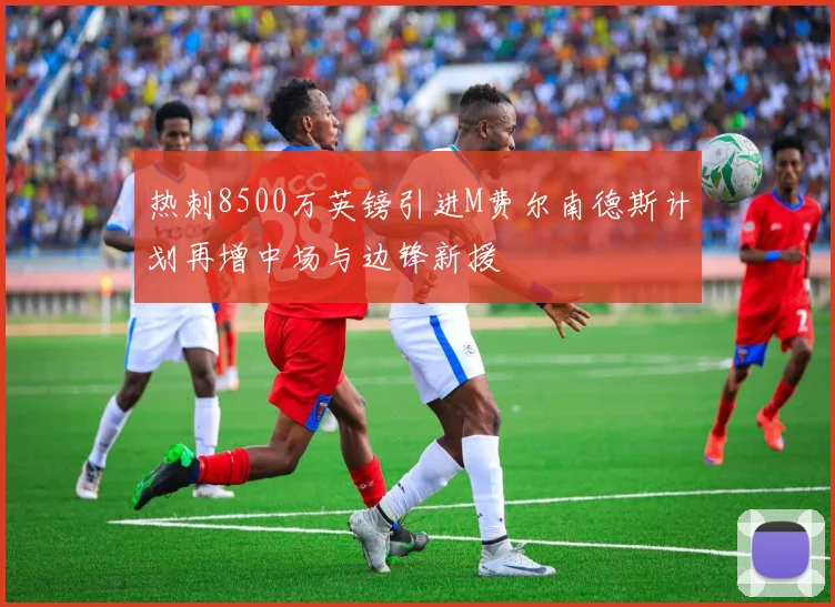 热刺8500万英镑引进M费尔南德斯计划再增中场与边锋新援