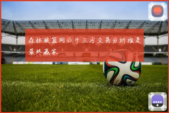 森林狼篮网公牛三方交易分析谁是最终赢家